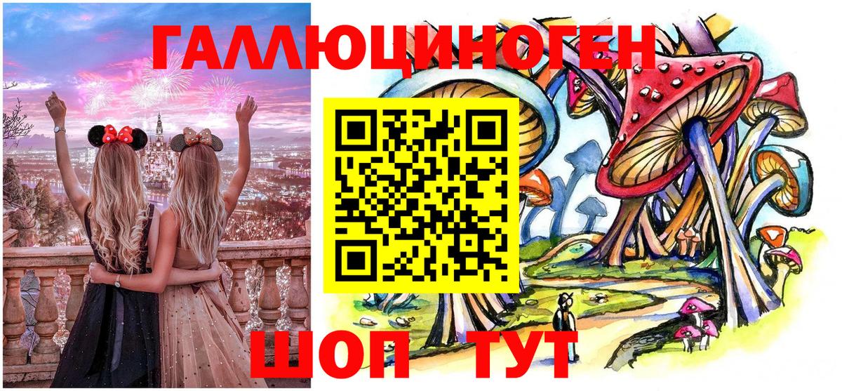 Галлюциногенные грибы Psilocybe Бирск